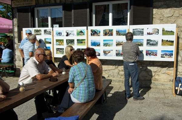 Lisca je ponovno zapela