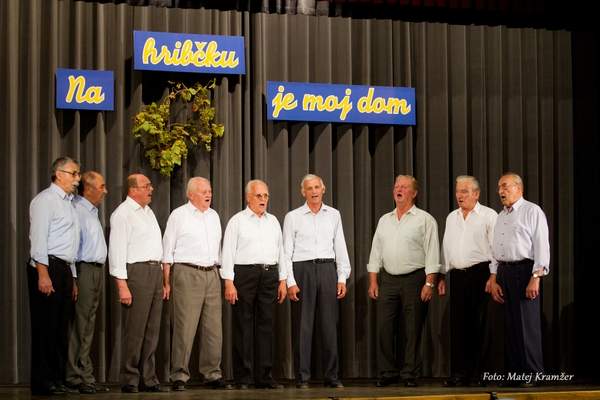 Na hribčku je moj dom