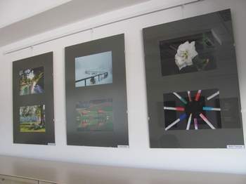 Fotografska razstava udeležencev fotografskih delavnic v Knjižnici Sevnica