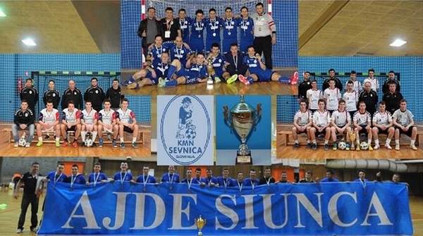 KMN Sevnica skozi leto 2013