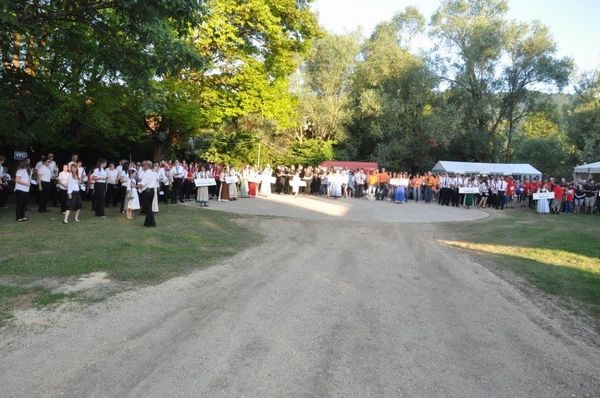 Srečanje pihalnih orkestrov v Kostanjevici