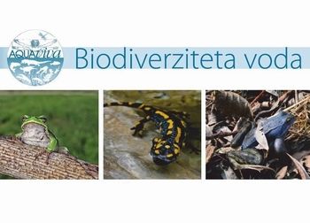 Razstava o biotski pestrosti naših voda