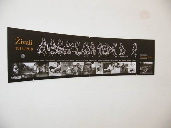 „Mrtvaški ples živali